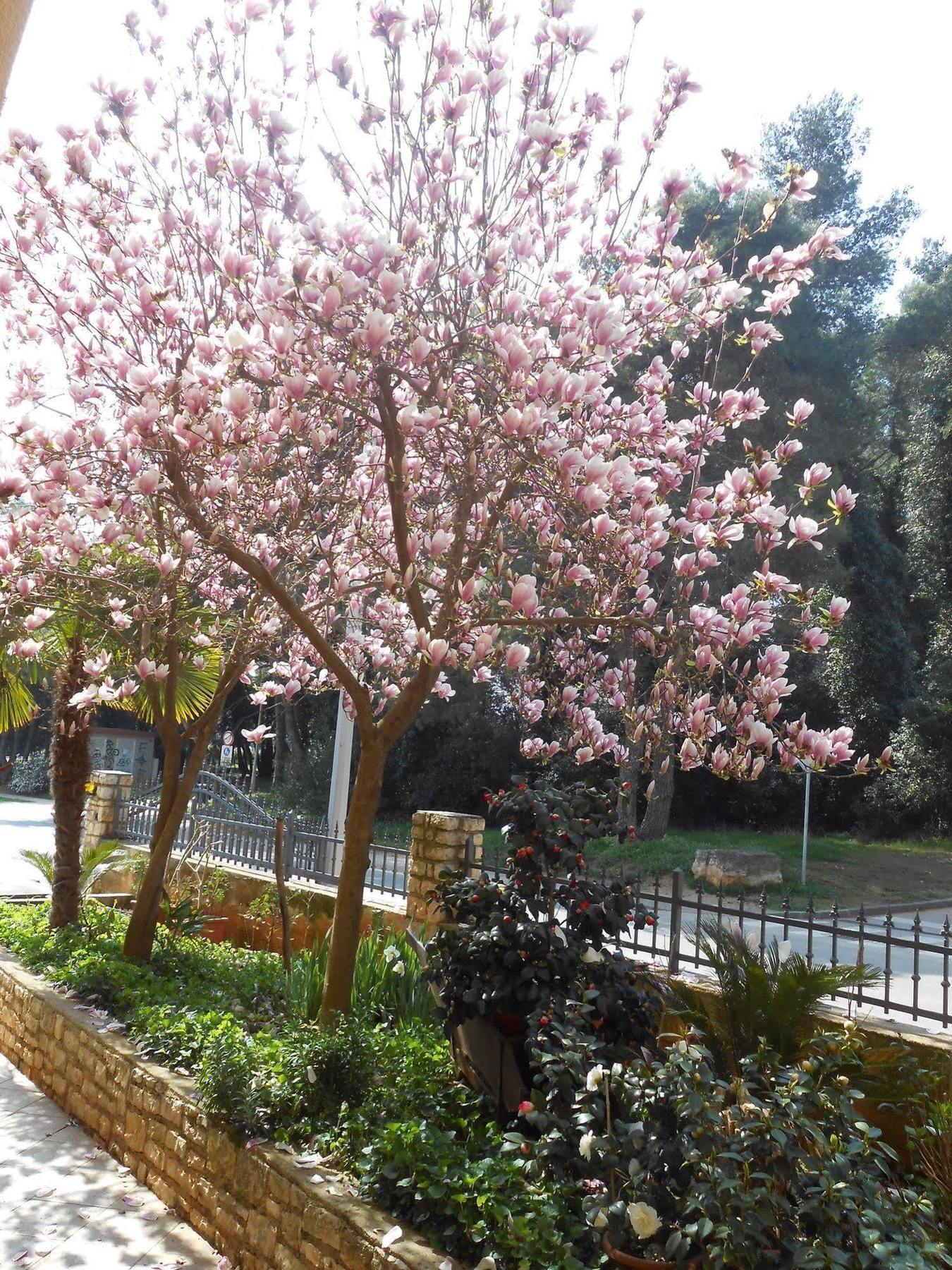 Kristina Bed & Breakfast Rovinj